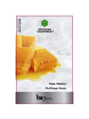 Apicoltura Casentinese Honey (Wildflower) Refill 900g Apicoltura Casentinese Honey (Wildflower) Refill 900g